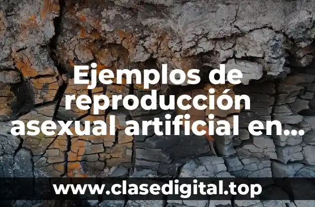 Ejemplos de reproducción asexual artificial en plantas