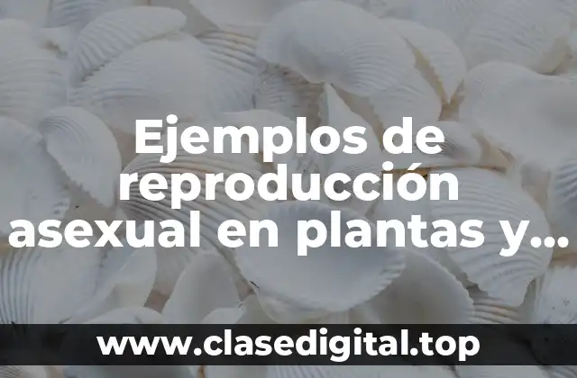 Ejemplos de reproducción asexual en plantas y Significado