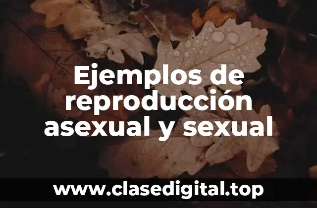 Ejemplos de reproducción asexual y sexual