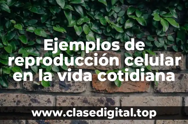 Ejemplos de reproducción celular