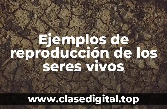 Ejemplos de reproducción de los seres vivos
