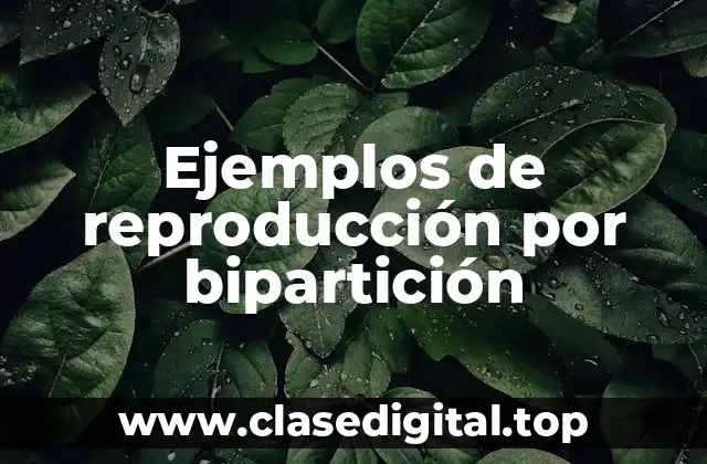 Ejemplos de reproducción por bipartición