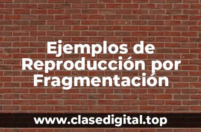 Ejemplos de Reproducción por Fragmentación