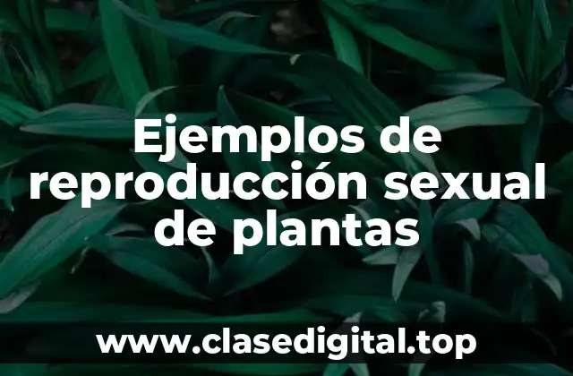 Ejemplos de reproducción sexual de plantas