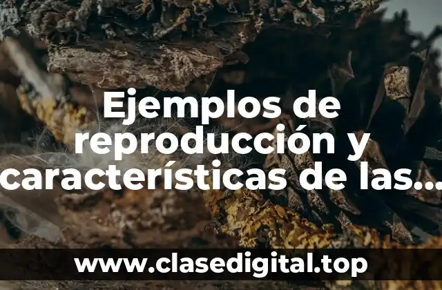 Ejemplos de reproducción y características de las estrategias de vida y Significado