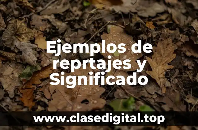 Ejemplos de reprtajes y Significado