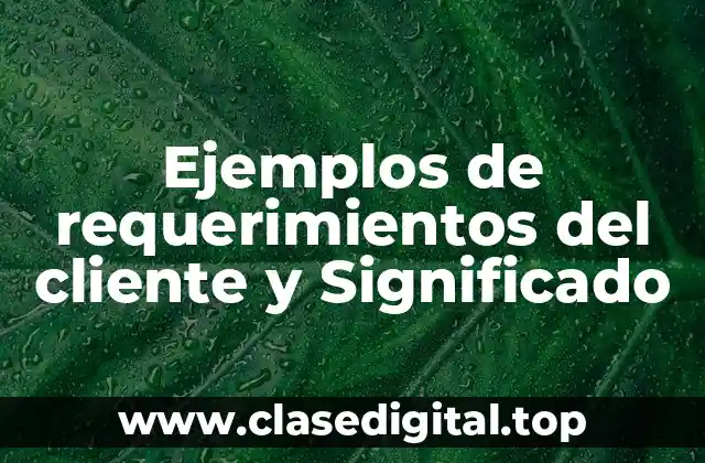 Ejemplos de requerimientos del cliente y Significado