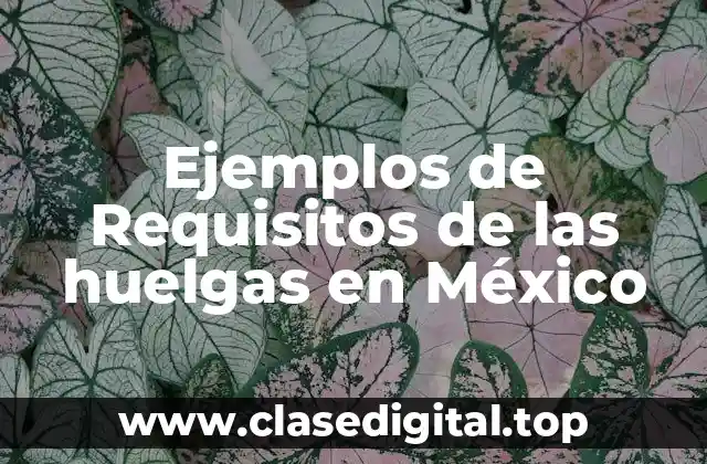 Ejemplos de requisitos de las huelgas en México