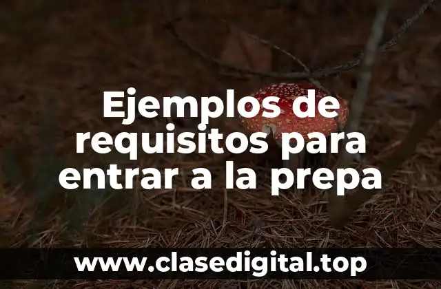 Ejemplos de requisitos para entrar a la prepa