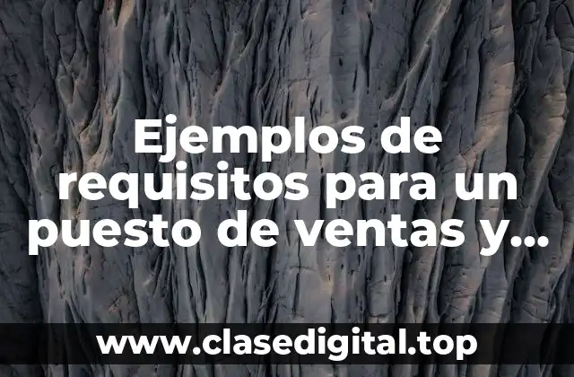 Ejemplos de requisitos para un puesto de ventas y Significado