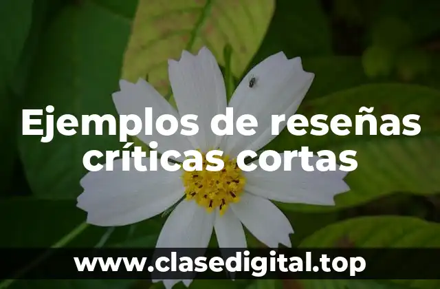 Ejemplos de reseñas críticas cortas