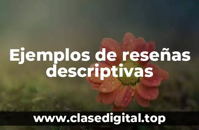 Ejemplos de reseñas descriptivas