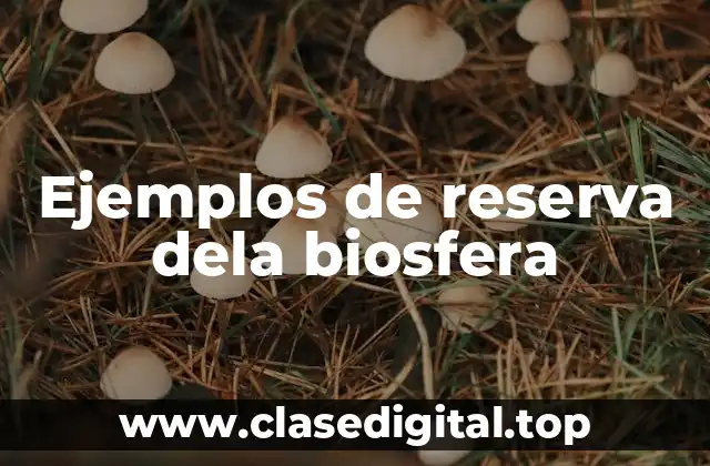 Ejemplos de reserva dela biosfera