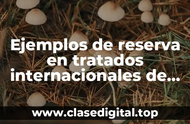 Ejemplos de reserva en tratados internacionales de comercio en vigor
