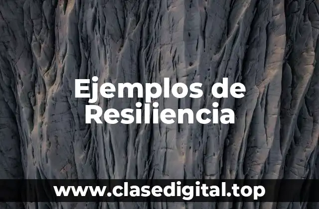 Ejemplos de Resiliencia