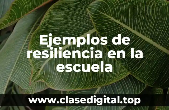 Ejemplos de resiliencia en la escuela