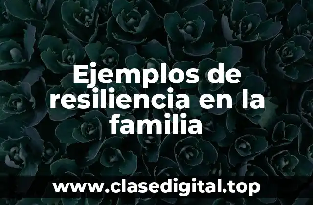 Ejemplos de resiliencia en la familia