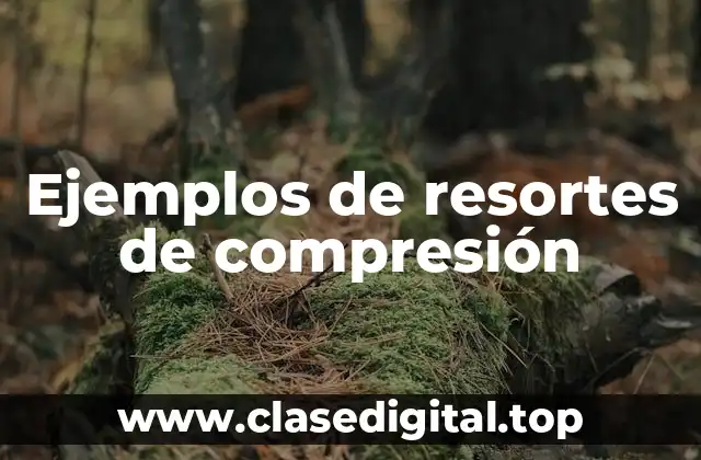 Ejemplos de resortes de compresión