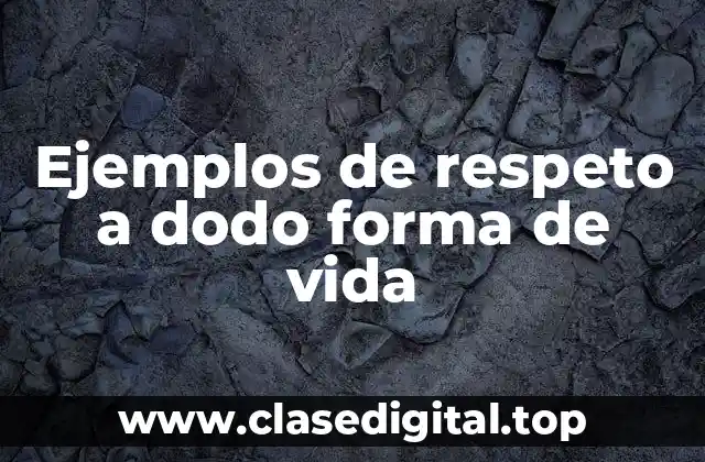 Ejemplos de respeto a dodo forma de vida