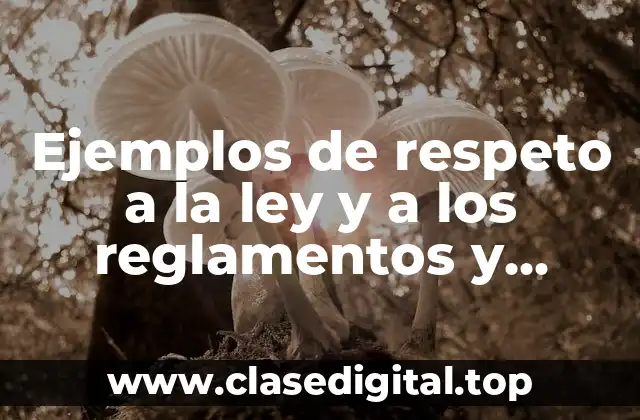 Ejemplos de respeto a la ley y a los reglamentos y Significado