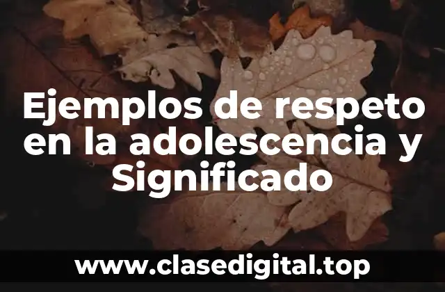 Ejemplos de respeto en la adolescencia y Significado