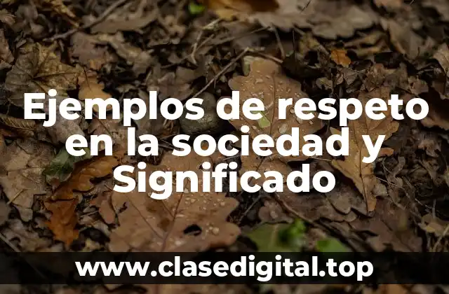Ejemplos de respeto en la sociedad y Significado