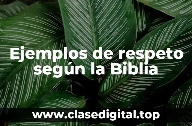 Ejemplos de respeto según la Biblia