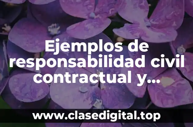 Ejemplos de responsabilidad civil contractual y extracontractual