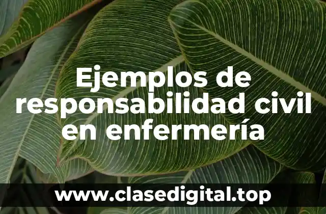 Ejemplos de responsabilidad civil en enfermería