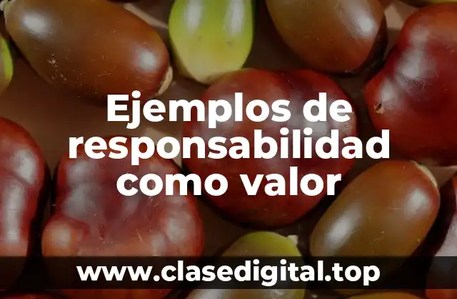 Ejemplos de responsabilidad como valor