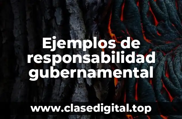 Ejemplos de responsabilidad gubernamental