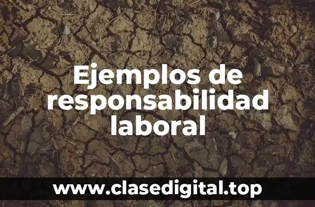 Ejemplos de responsabilidad laboral
