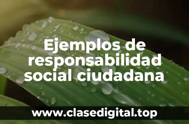 Ejemplos de responsabilidad social ciudadana