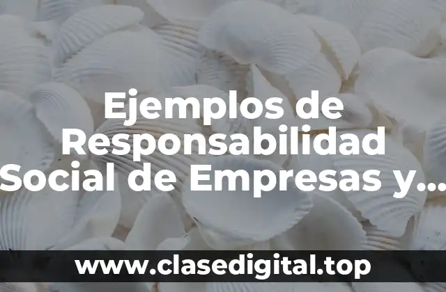 Ejemplos de Responsabilidad Social de Empresas y Significado