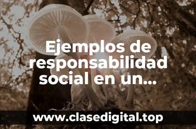 Ejemplos de responsabilidad social en un emprendimiento
