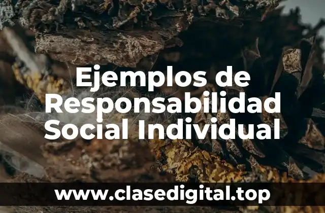 Ejemplos de Responsabilidad Social Individual
