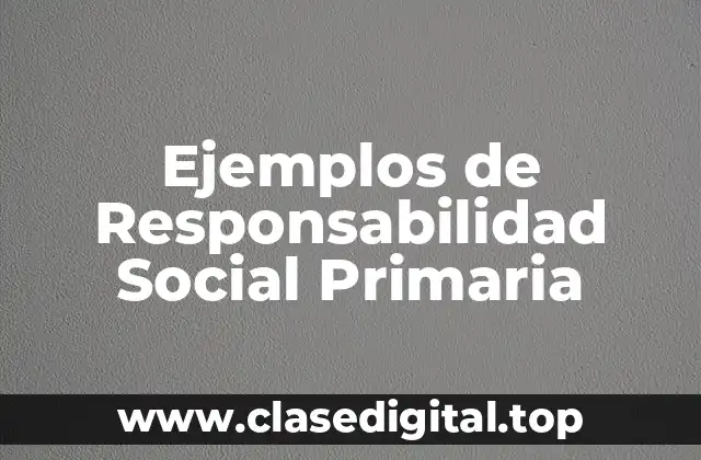 Ejemplos de Responsabilidad Social Primaria