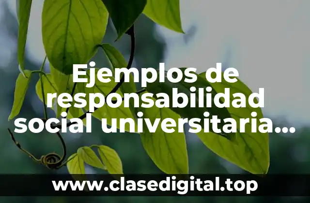 Ejemplos de responsabilidad social universitaria