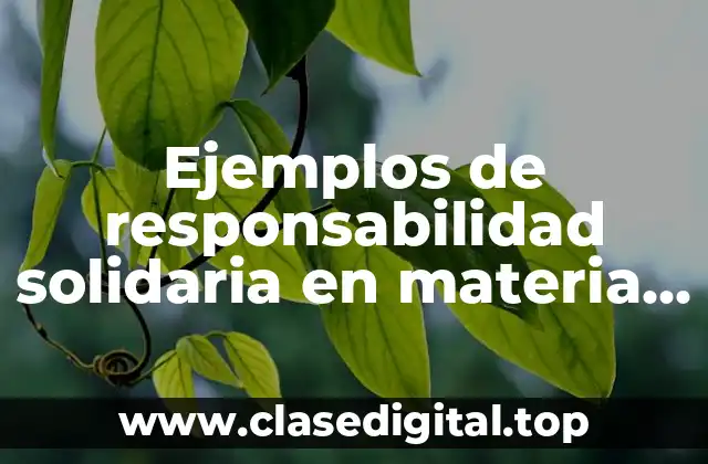 Ejemplos de responsabilidad solidaria en materia tributaria