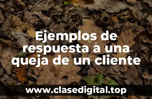 Ejemplos de respuesta a una queja de un cliente