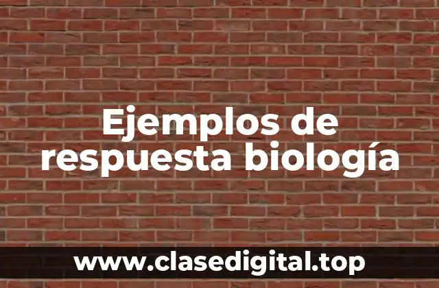 Ejemplos de respuesta biología