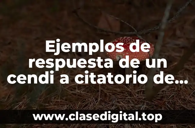 Ejemplos de respuesta de un cendi a citatorio de salubridad y Significado