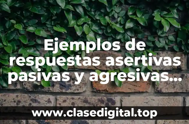 Ejemplos de respuestas asertivas pasivas y agresivas en el trabajo y Significado