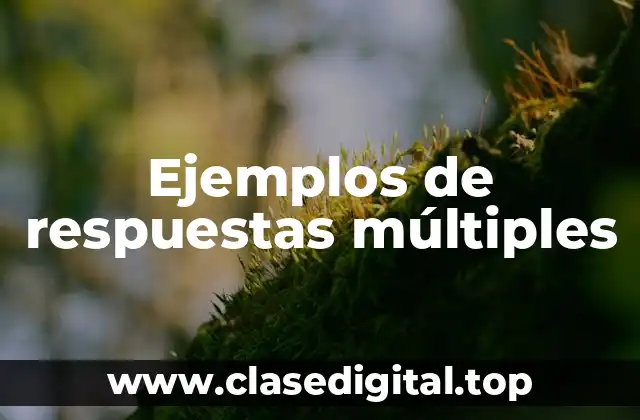 Ejemplos de respuestas múltiples