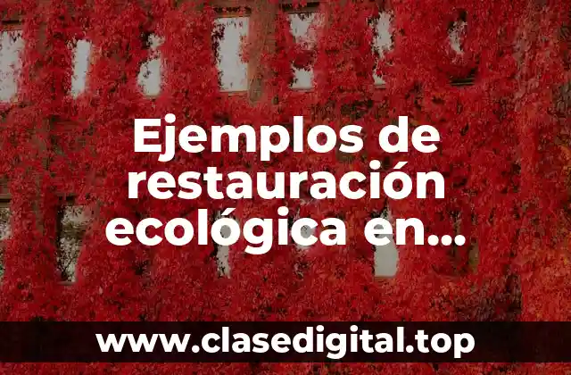Ejemplos de restauración ecológica en Colombia