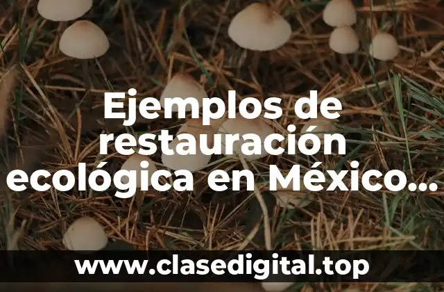 Ejemplos de restauración ecológica en México y Significado