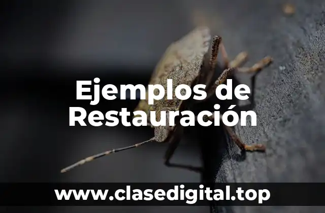 Ejemplos de Restauración