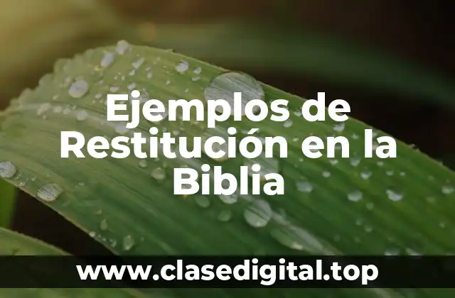 Ejemplos de Restitución en la Biblia