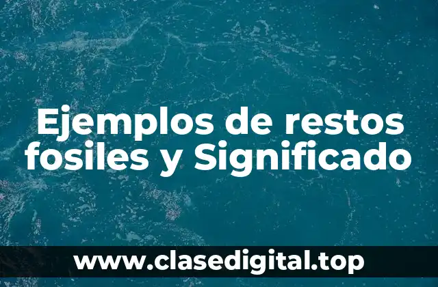 Ejemplos de restos fosiles y Significado