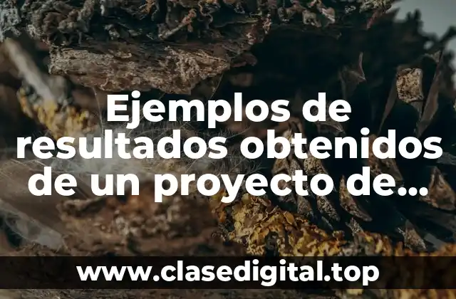 Ejemplos de resultados obtenidos de un proyecto de diseño organizacional y Significado